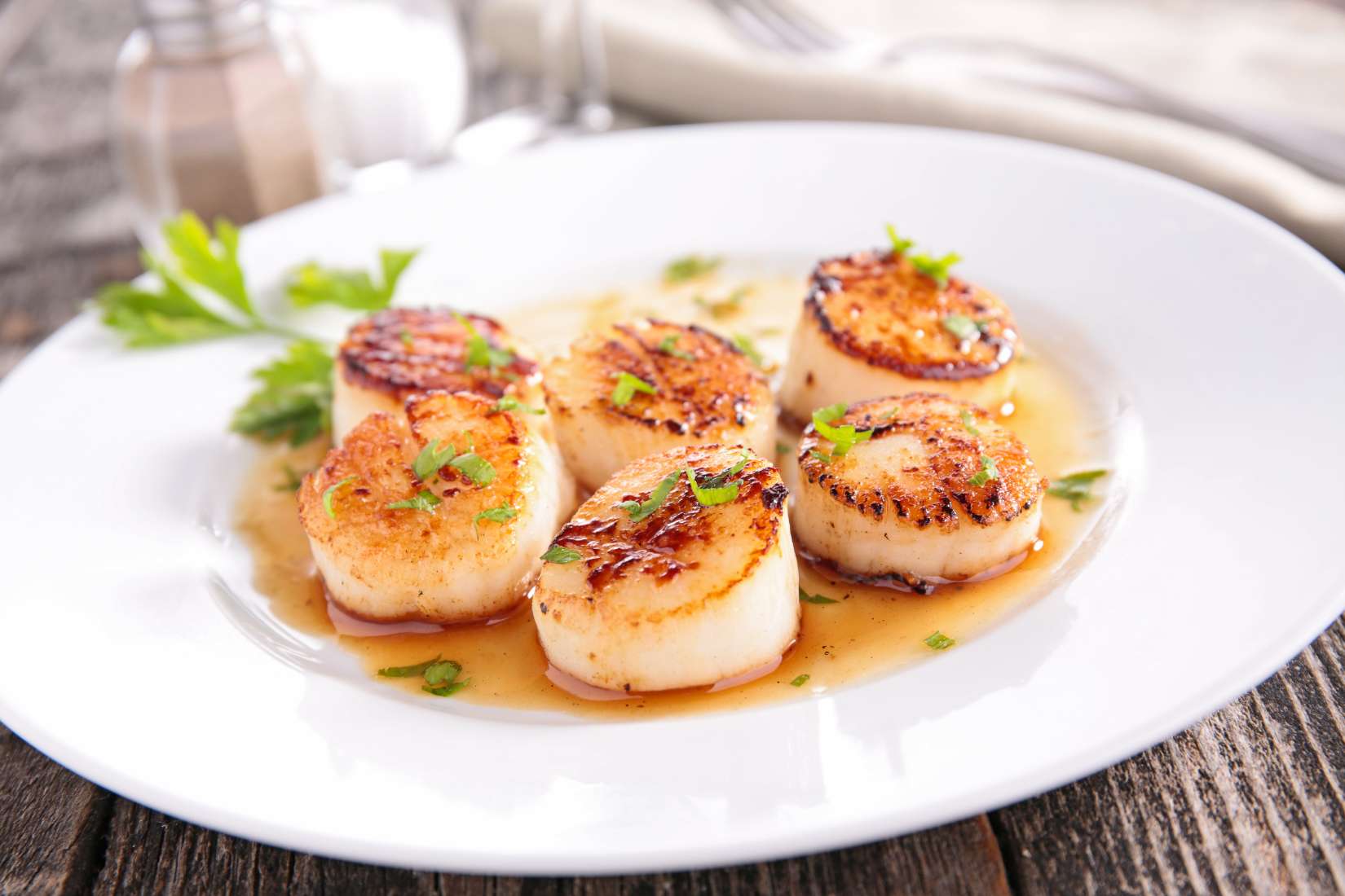 Bay Winds Scallops